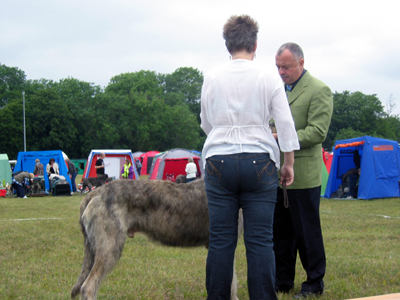 Domaren tittar på mig