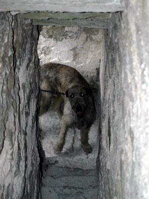 Jag kikar upp för trappan i Elinghems Ödekyrka