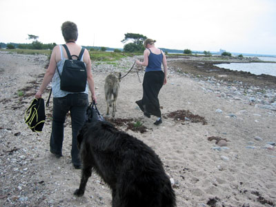 Promenad vid Koviks fiskeläge