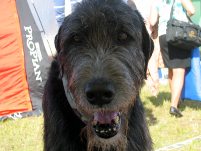 Loke fick iaf vara med på bilder