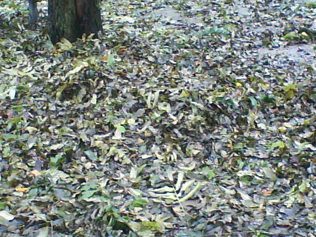 DSC00278