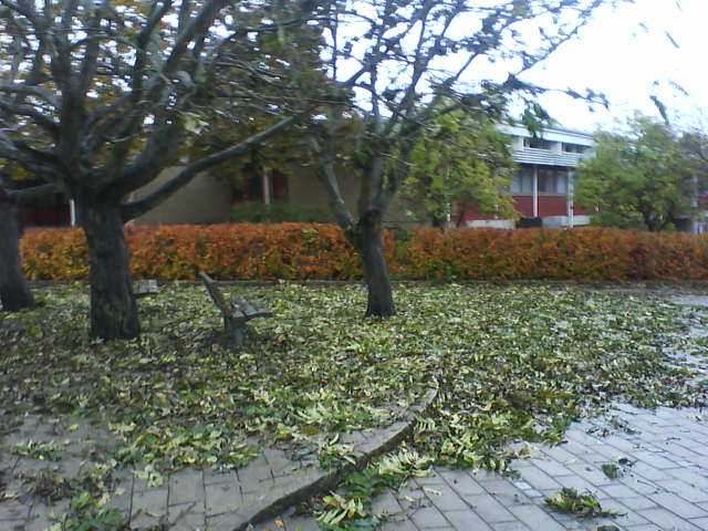 DSC00279